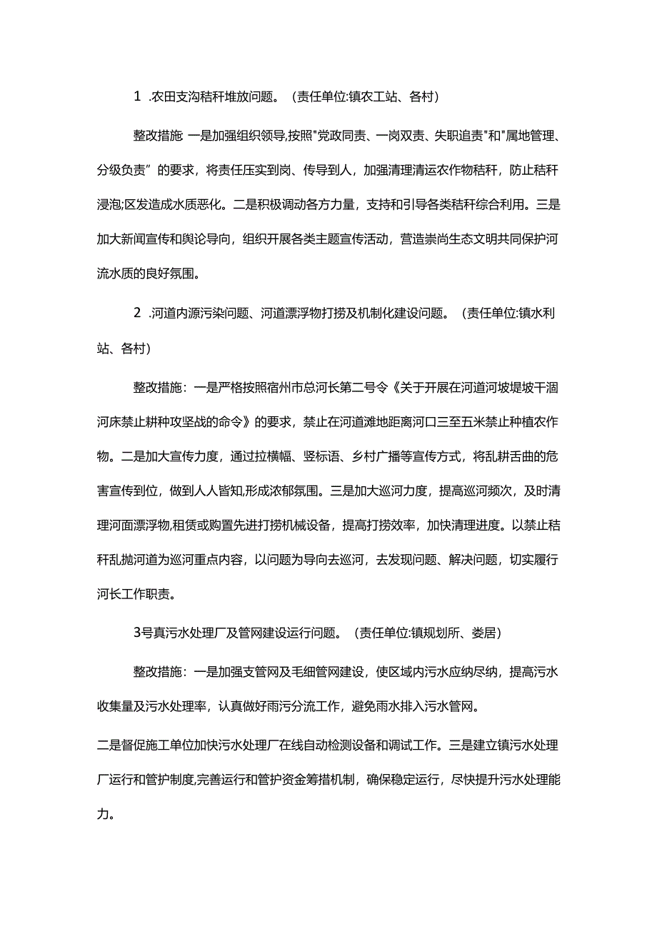 镇水环境问题专项整治实施方案.docx_第2页