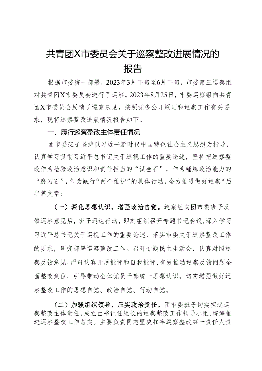 共青团X市委员会关于巡察整改进展情况的报告.docx_第1页