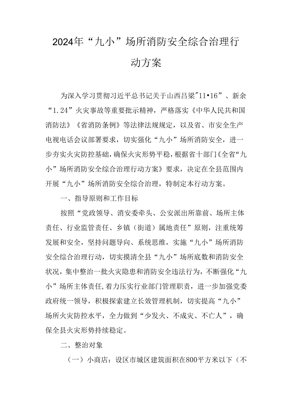 2024年“九小”场所消防安全综合治理行动方案.docx_第1页