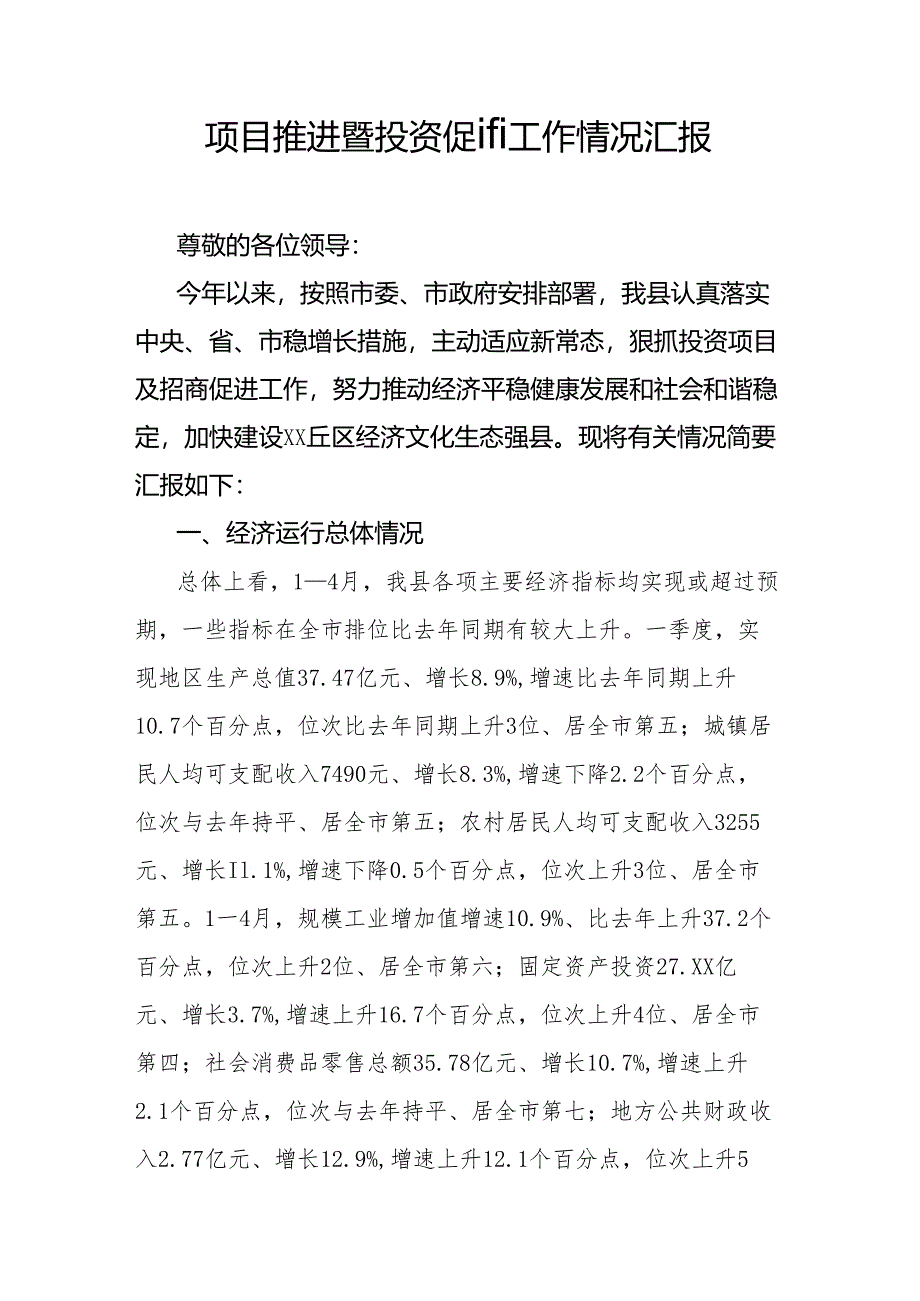 项目推进暨投资促进工作情况汇报.docx_第1页