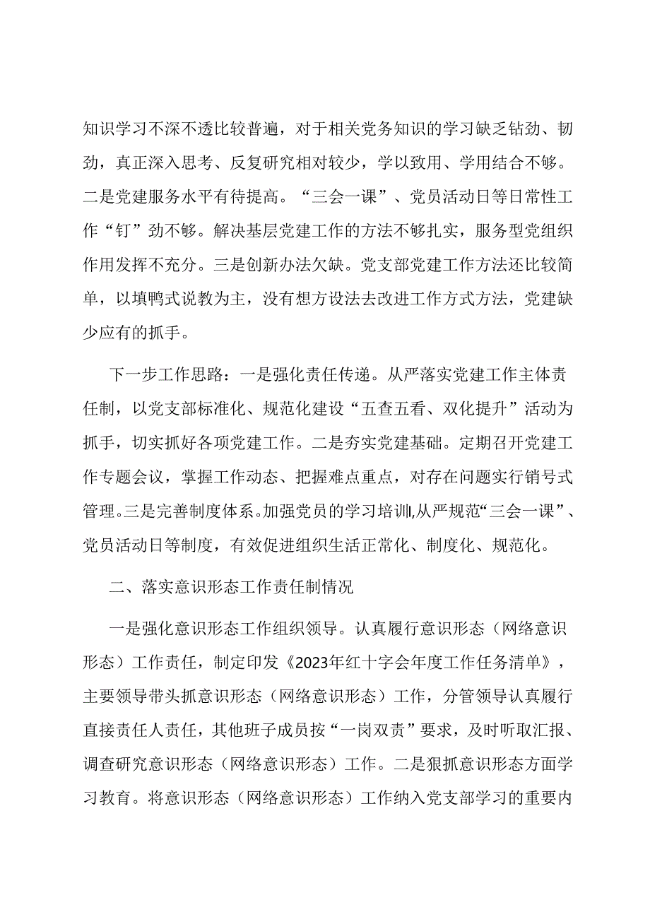 区红十字会党支部抓基层党建述职报告.docx_第2页