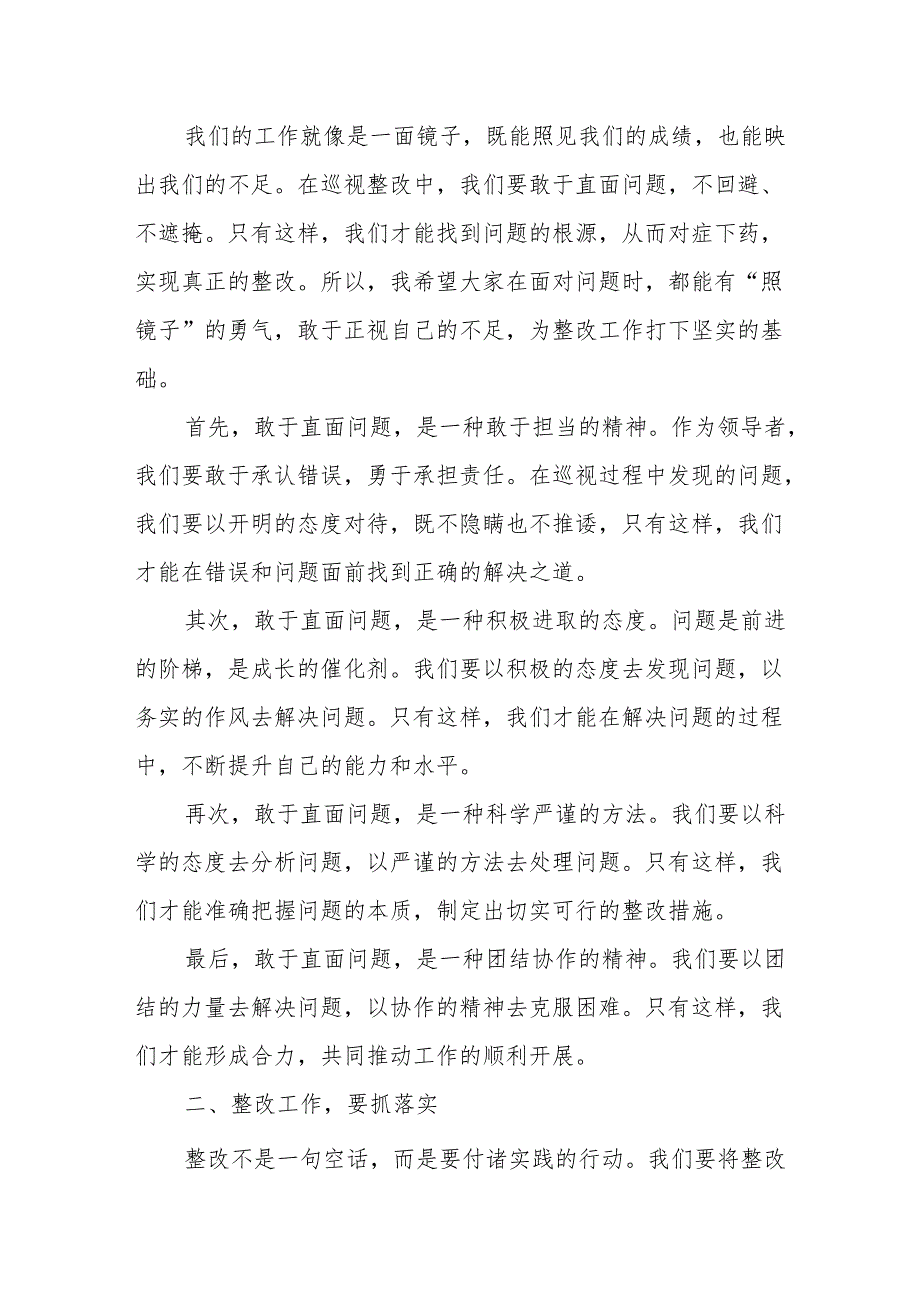 某县长巡视整改专题民主生活会发言提纲、巡视整改专题民主生活会方案.docx_第2页