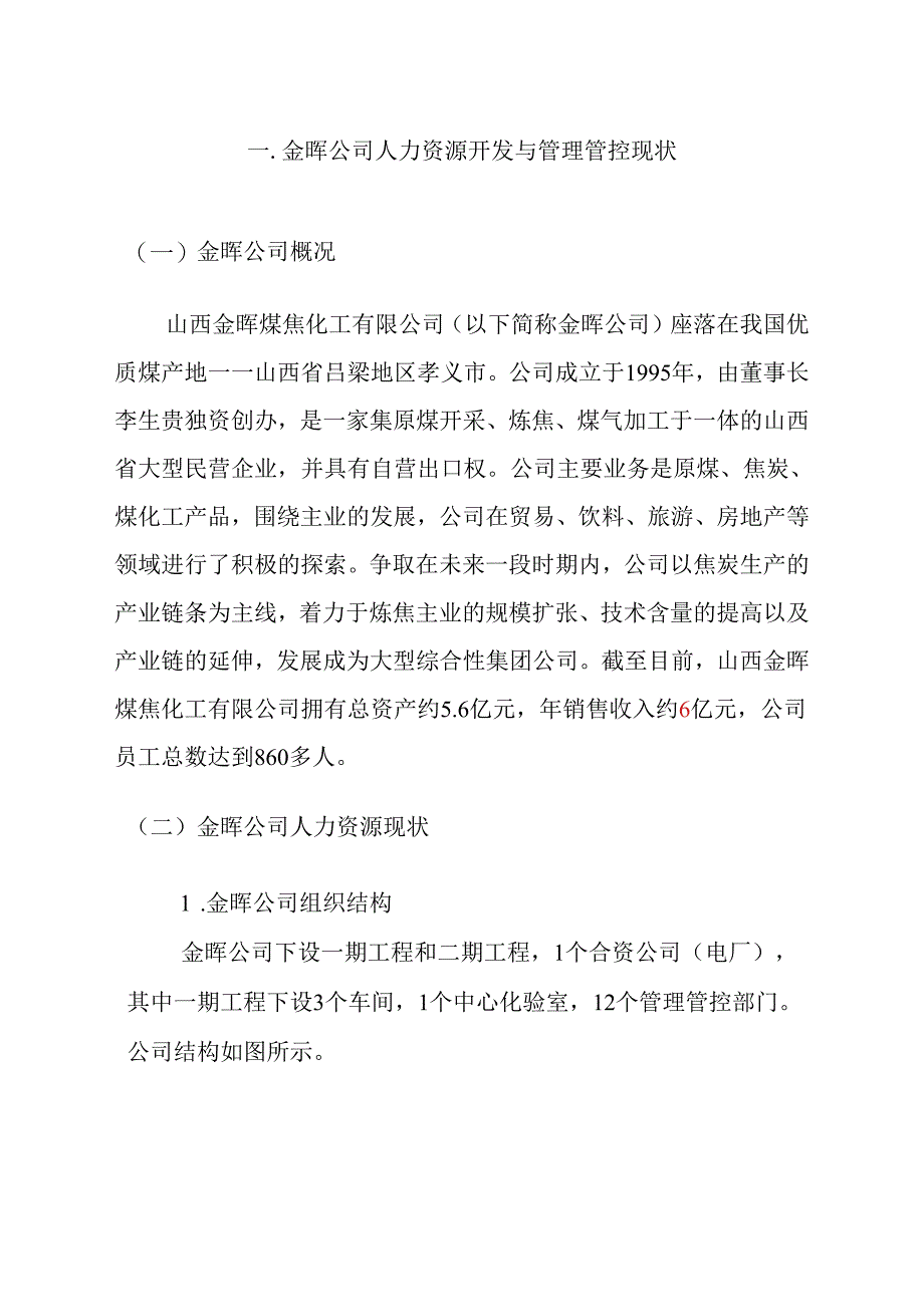 金晖-人力资源规划咨询报告.docx_第2页