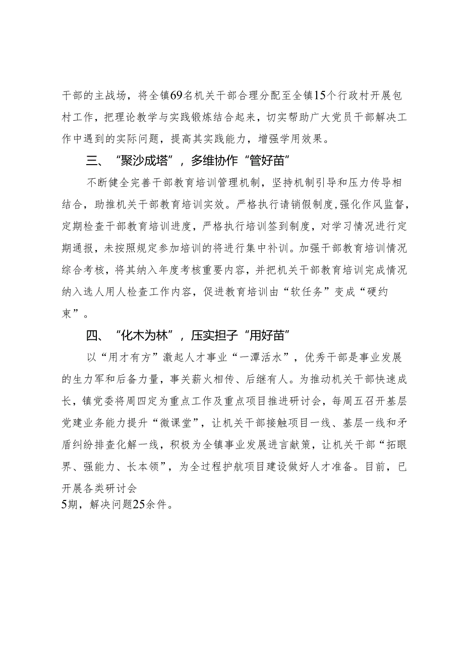 镇党委书记在基层人才建设工作会议上的发言.docx_第2页