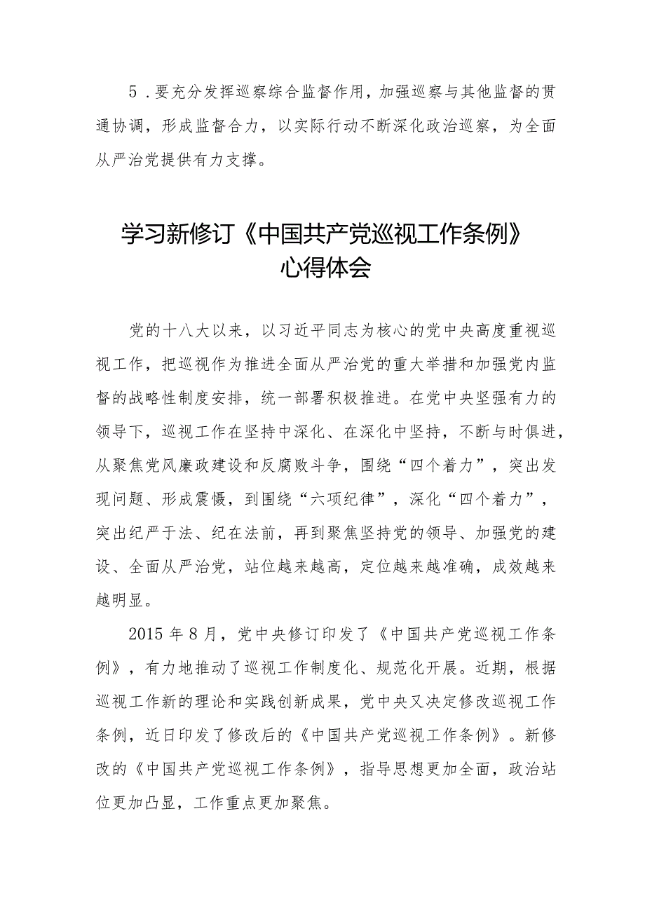 2024学习新修改的《中国共产党巡视工作条例》的心得体会十九篇.docx_第2页