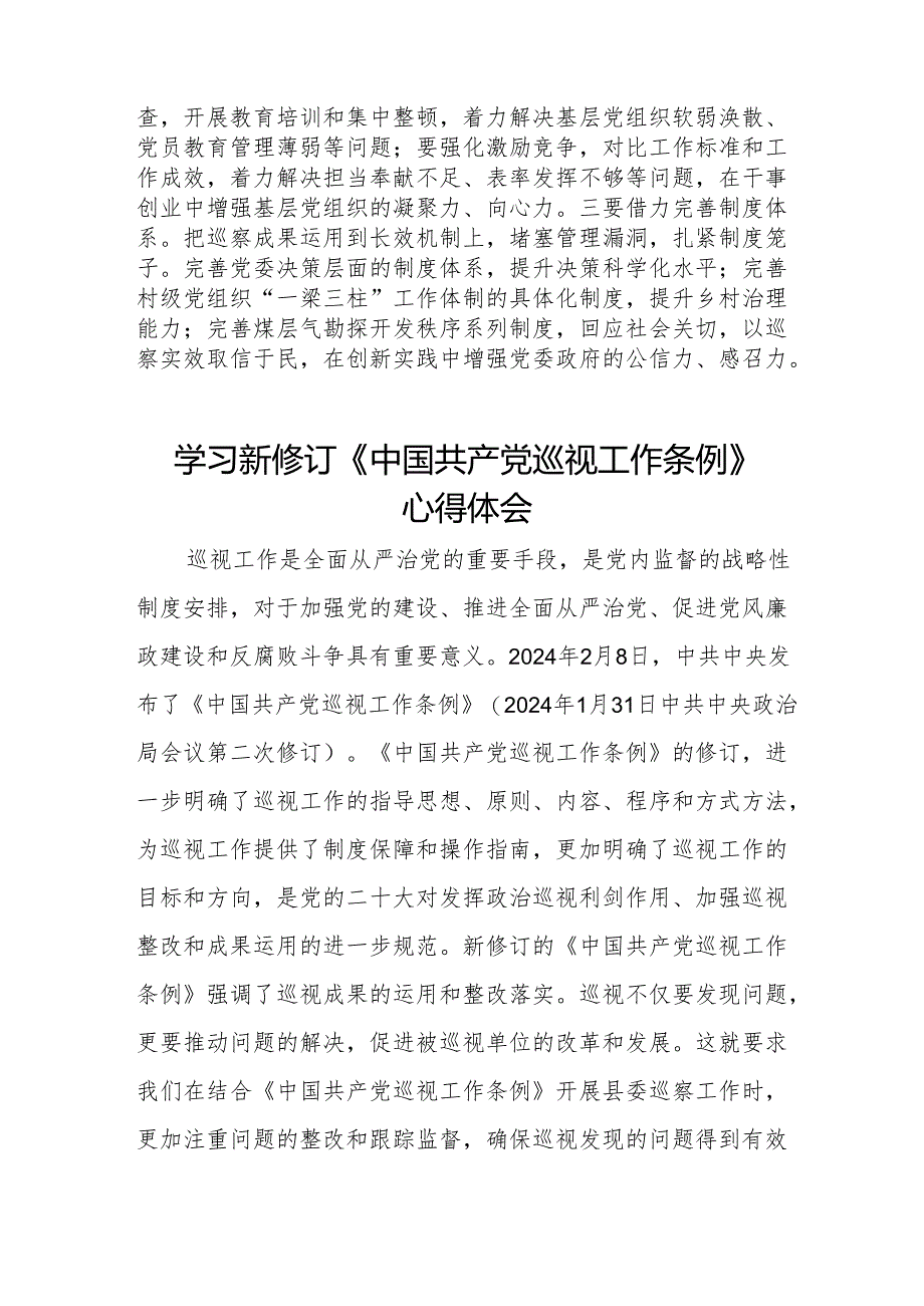 巡察干部学习2024新版中国共产党巡视工作条例的心得体会8篇.docx_第3页