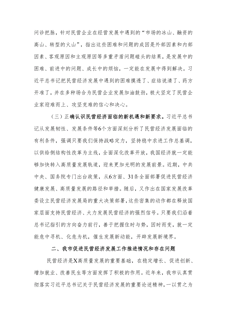 关于学习关于促进民营经济发展的重要论述及市贯彻落实意见的汇报范文.docx_第3页