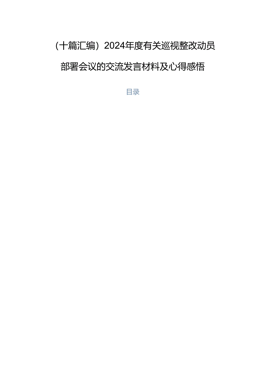 （十篇汇编）2024年度有关巡视整改动员部署会议的交流发言材料及心得感悟.docx_第1页