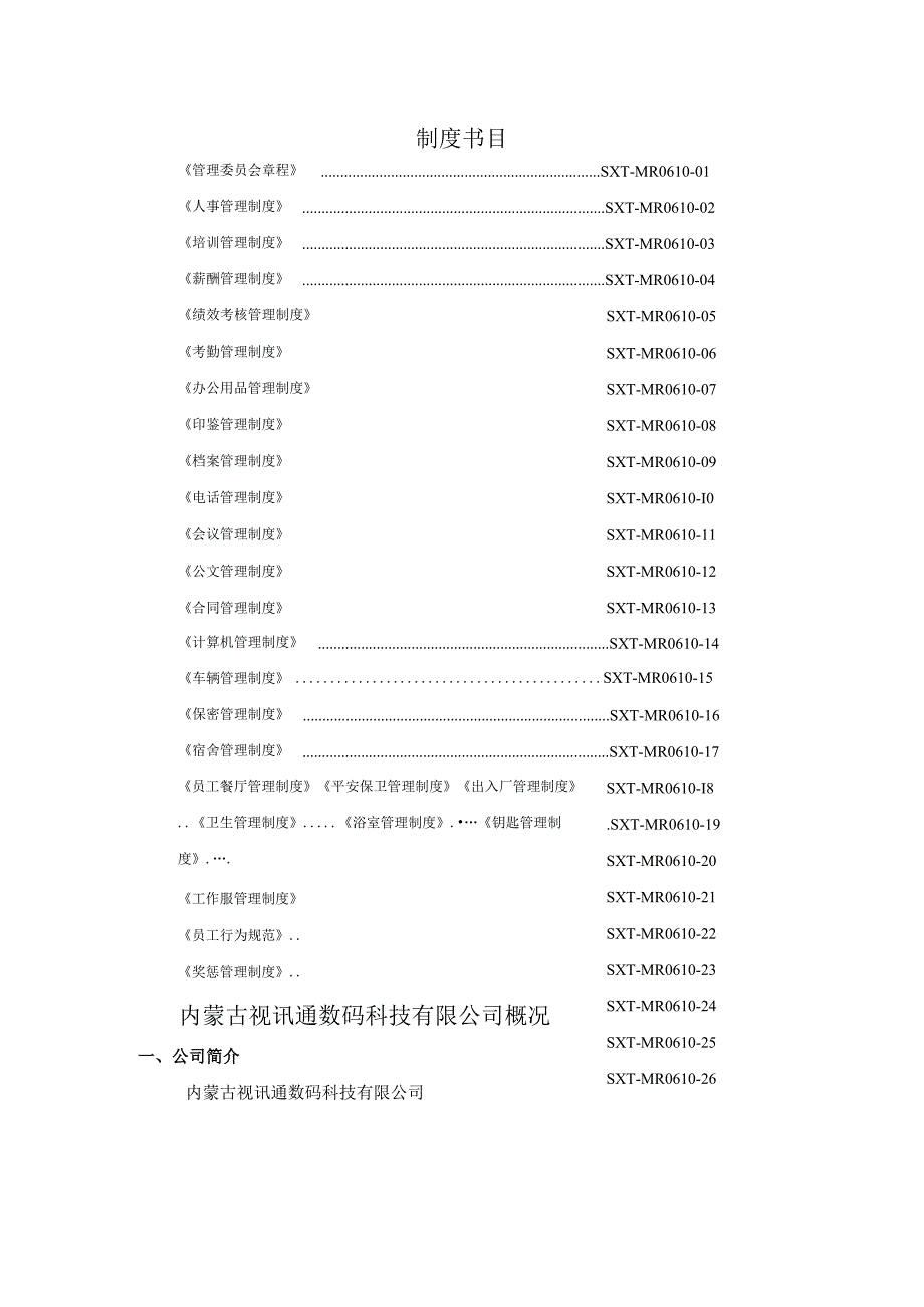 内蒙古视讯通公司管理制度(2024-10-10).docx_第3页