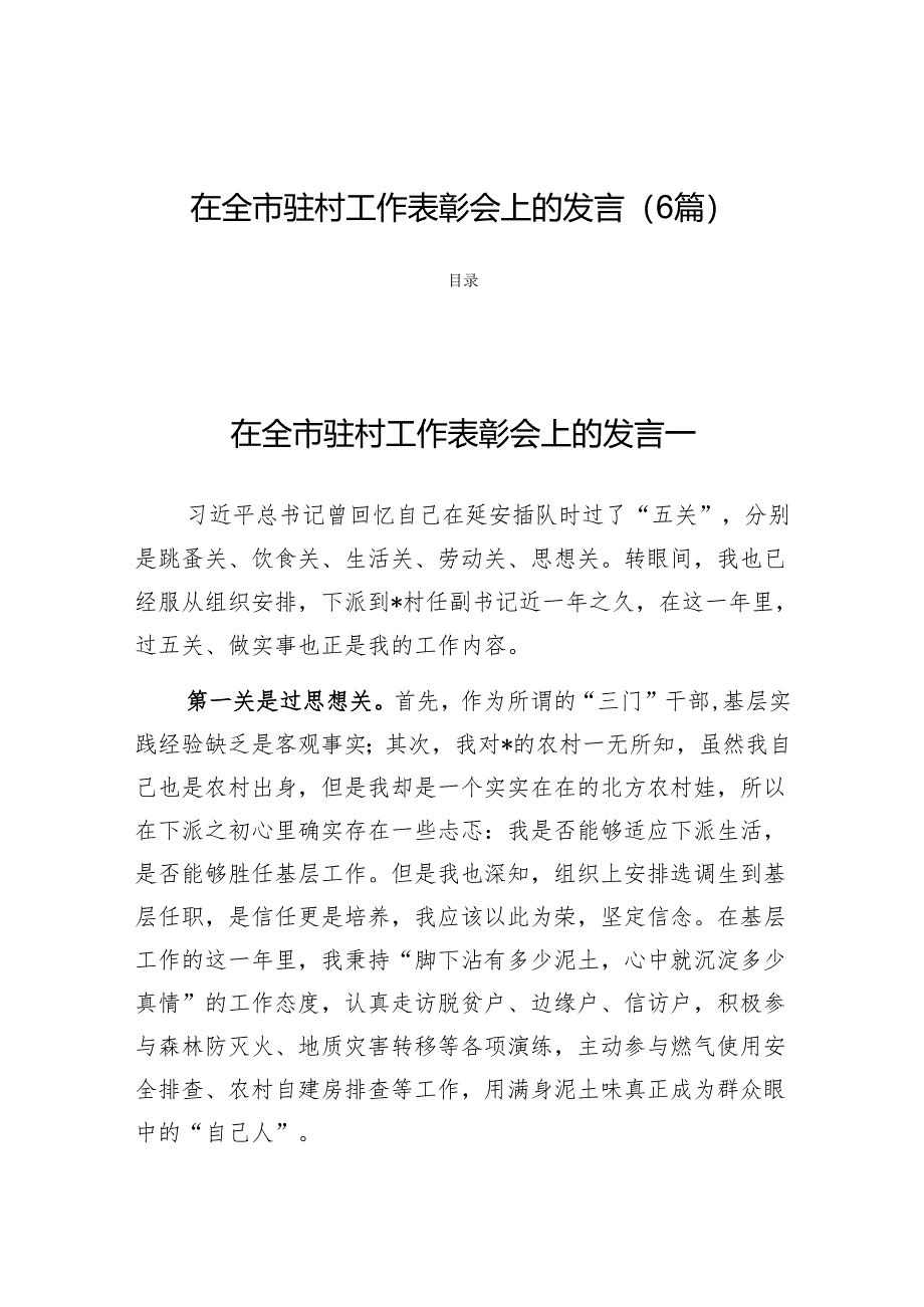 在全市驻村工作表彰会上的发言（6篇）.docx_第1页