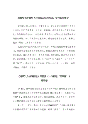 （10篇）观看电视专题片《持续发力纵深推进》学习心得体会参考范文.docx