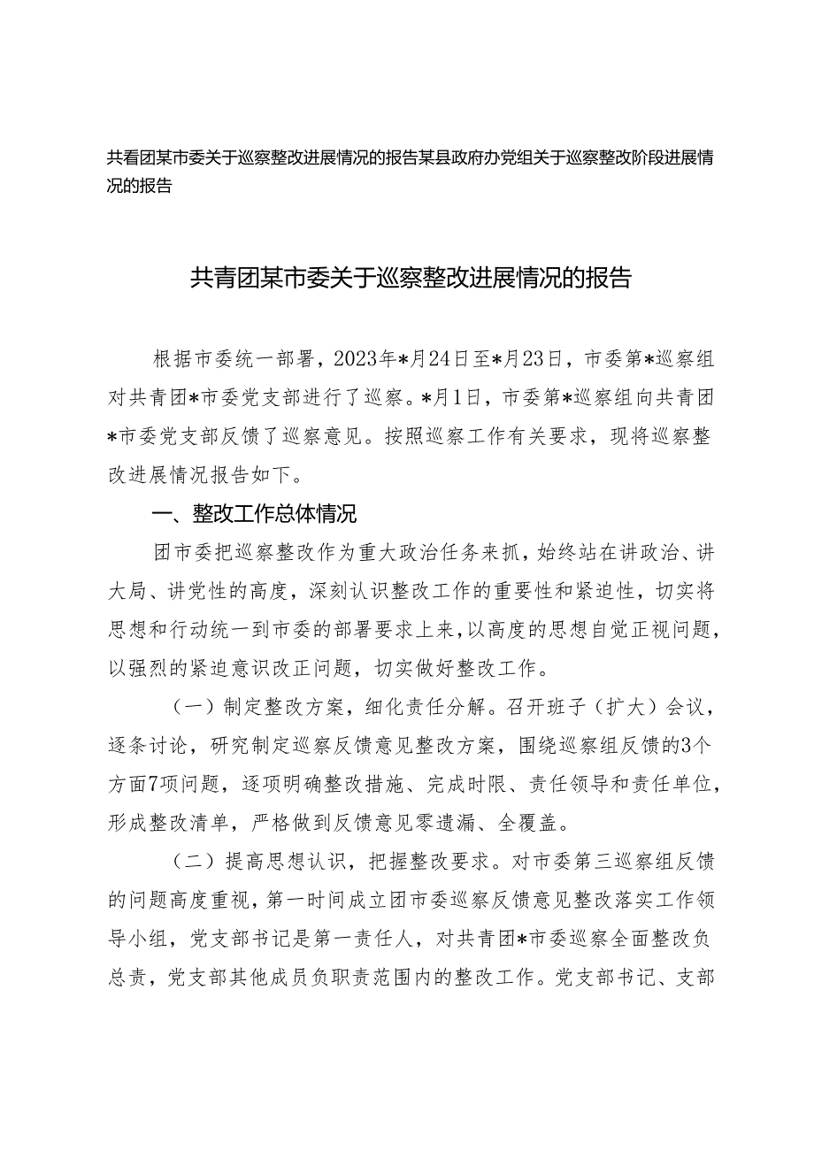 2篇 共青团某市委关于巡察整改进展情况的报告.docx_第1页