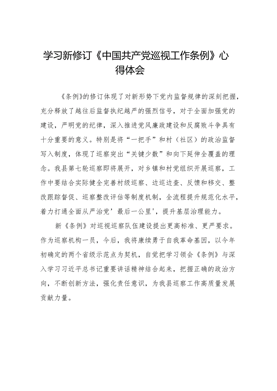 巡察干部学习2024新版中国共产党巡视工作条例的心得体会十九篇.docx_第1页