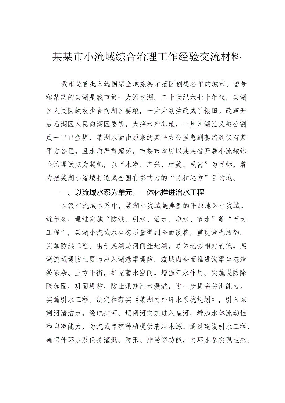 某某市小流域综合治理工作经验交流材料.docx_第1页