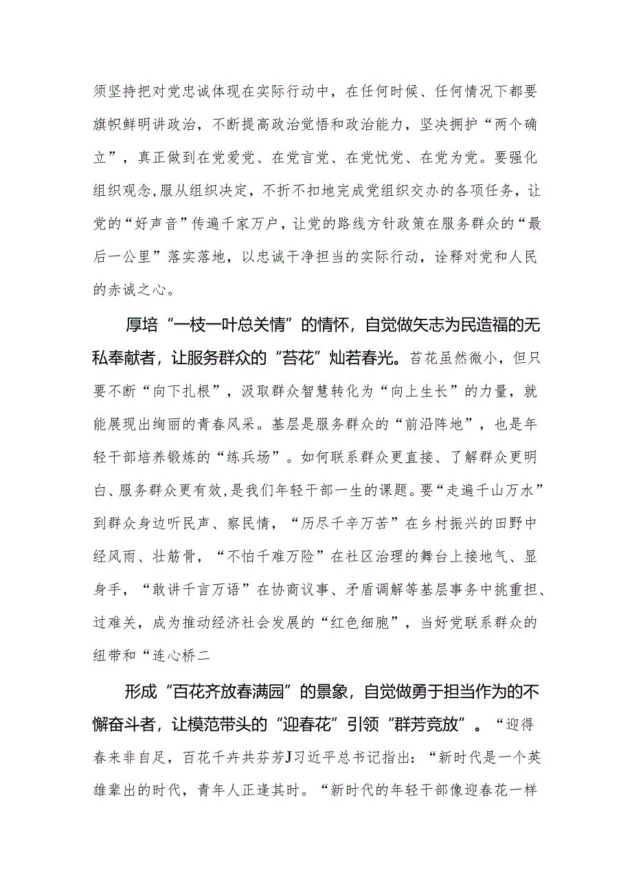 2024年青年党员干部学习“五个自觉” 研讨发言心得体会感想10篇.docx_第2页