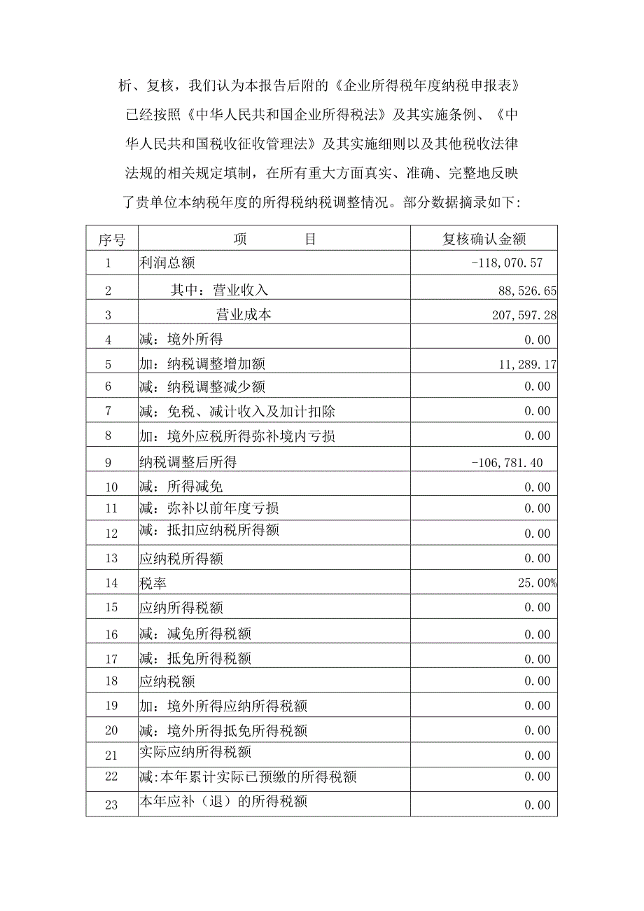 企业所得税纳税调整报告.docx_第2页