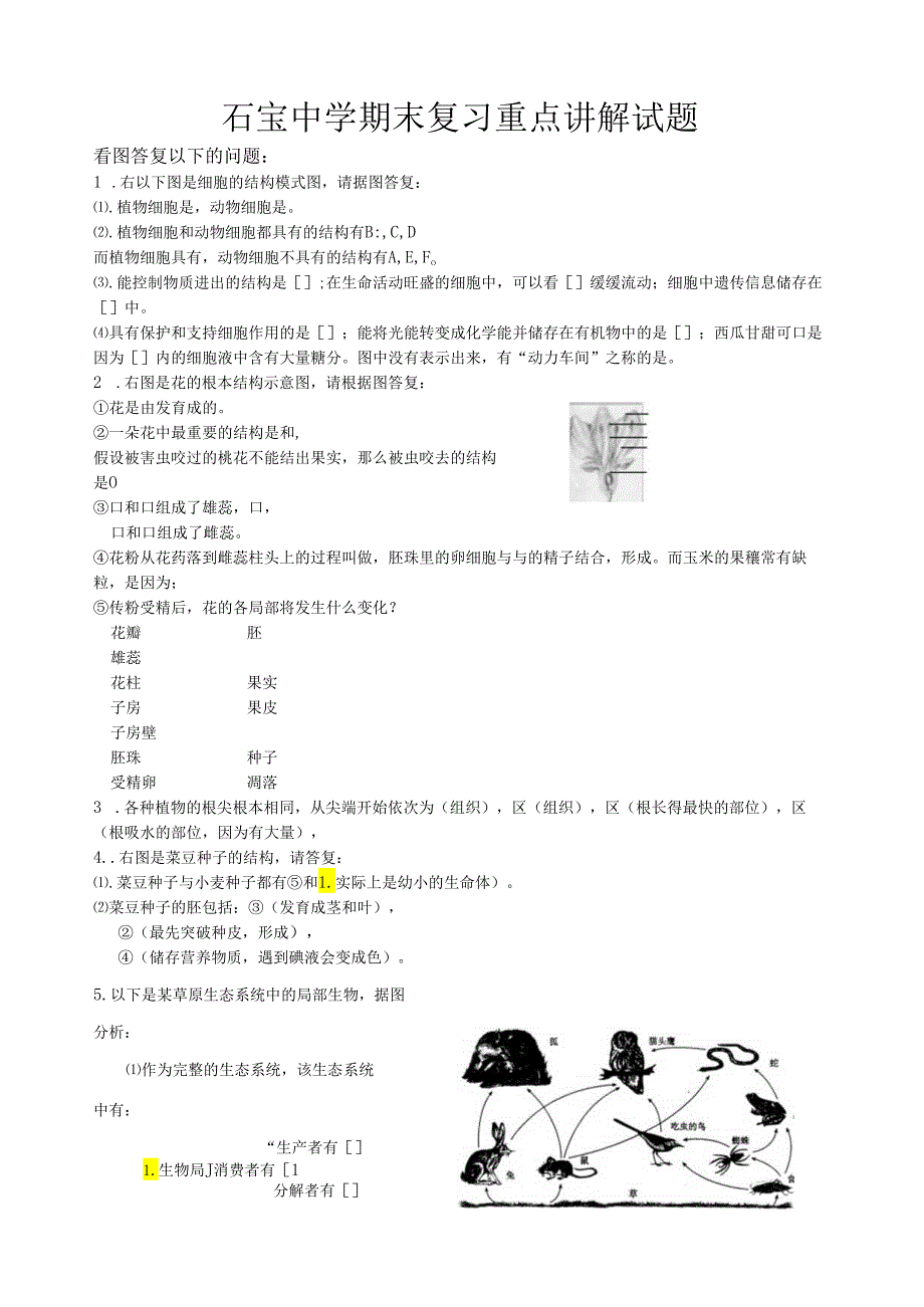 石宝中学期末复习重点讲解试题-2.docx_第1页