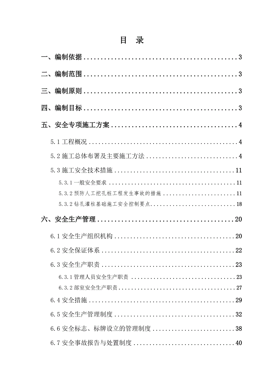 大桥安全专项施工方案.doc_第1页