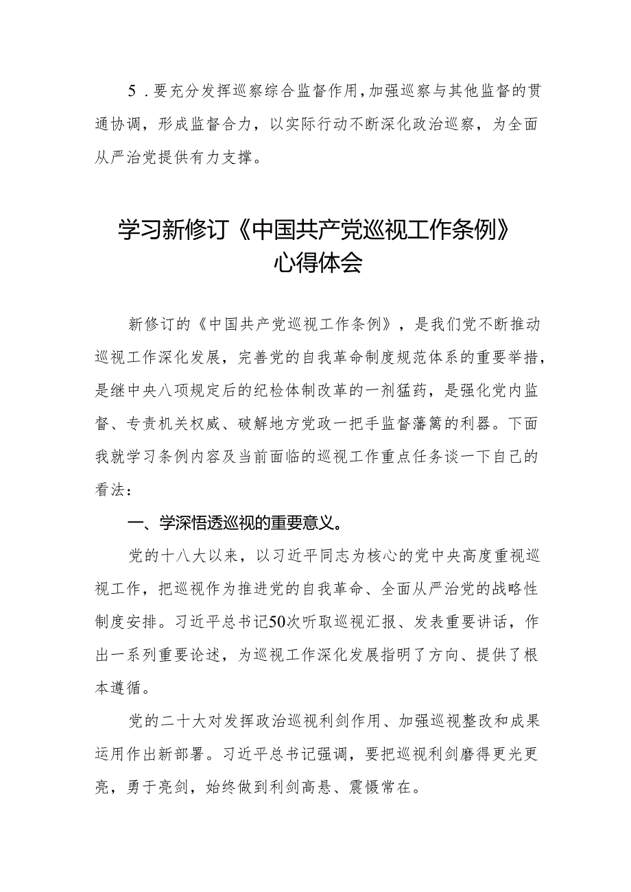 乡镇干部学习2024新修订《中国共产党巡视工作条例》心得体会两篇.docx_第2页