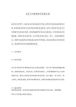 X市大兴调查研究实施方案.docx