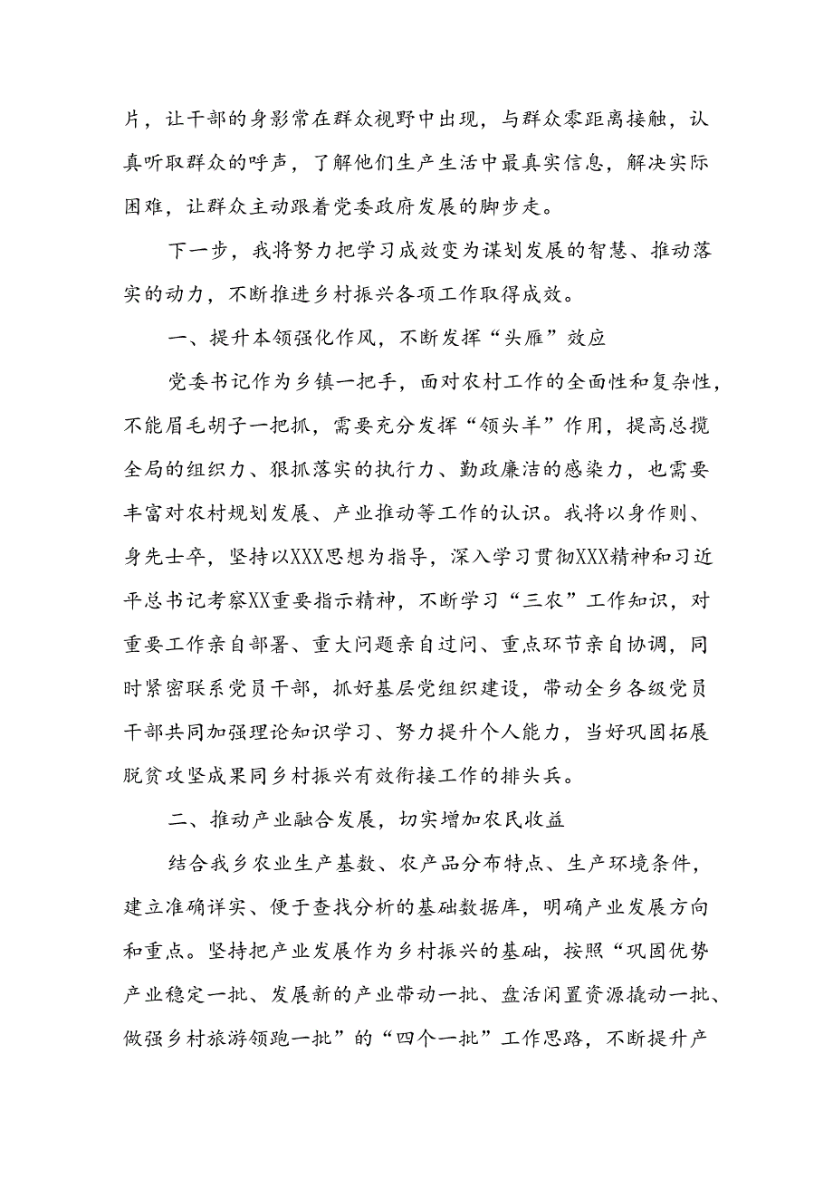 参加全国乡镇党委书记推进乡村全面振兴视频培训班心得体会及感想收获.docx_第2页