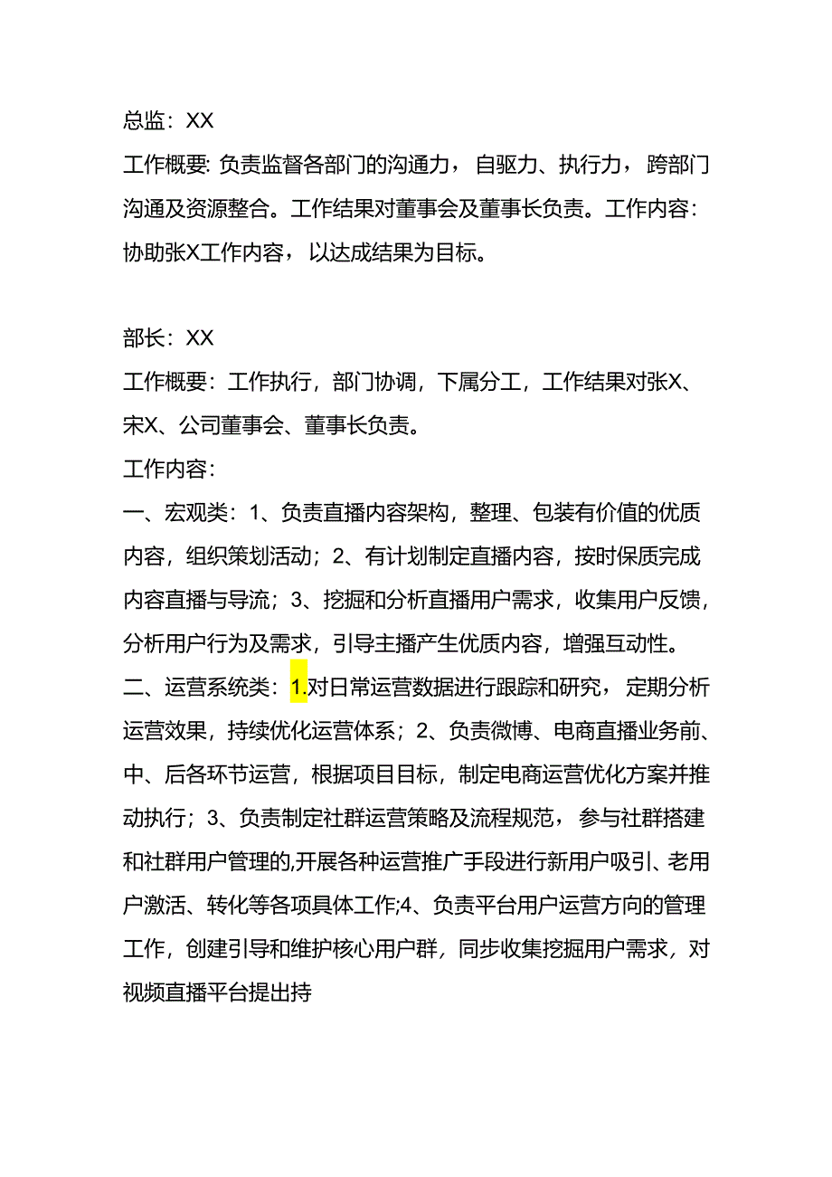 新媒体职责分工内容.docx_第2页