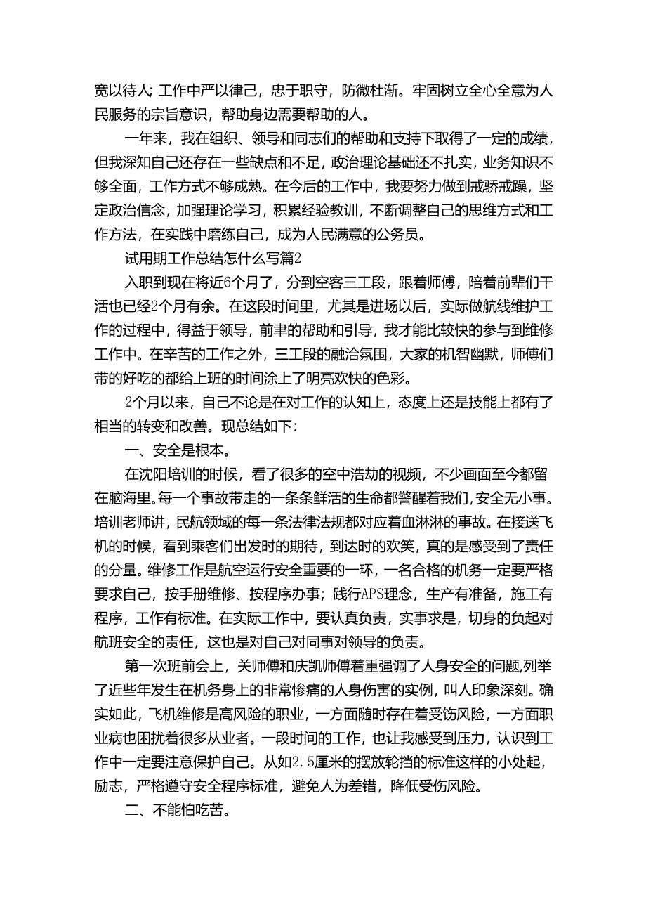 试用期工作总结怎什么写（通用32篇）.docx_第2页