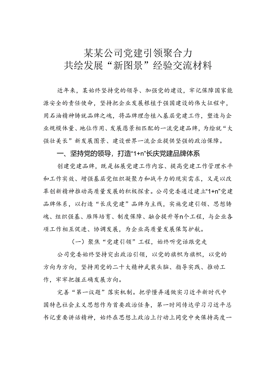 某某公司党建引领聚合力共绘发展“新图景”经验交流材料.docx_第1页