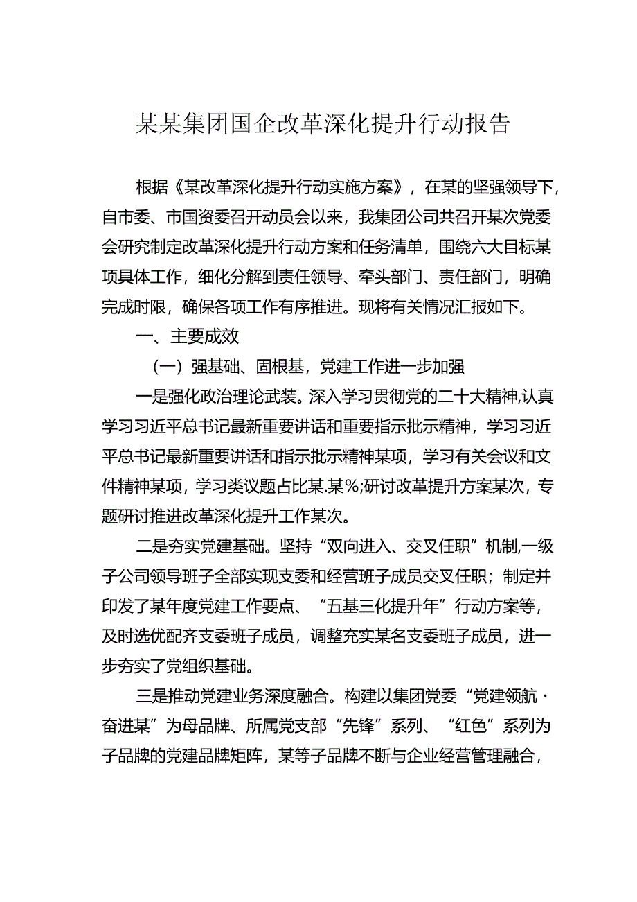 某某集团国企改革深化提升行动报告.docx_第1页