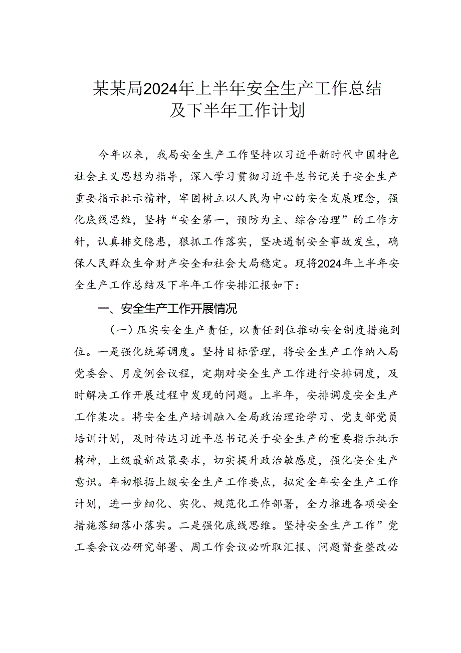 某某局2024年上半年安全生产工作总结及下半年工作计划.docx_第1页