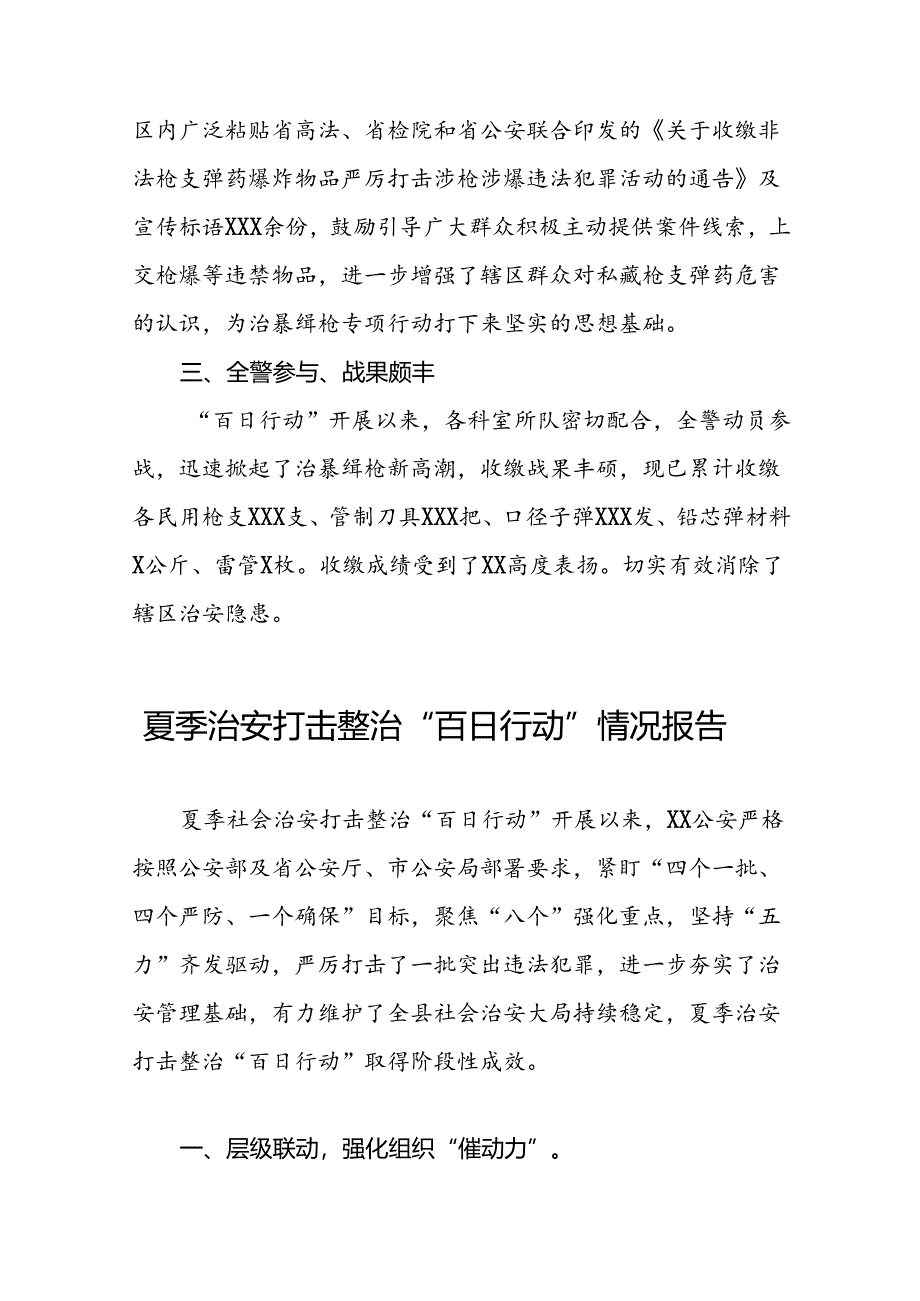 二十三篇2024年夏季治安打击整治“百日行动”专项总结.docx_第2页