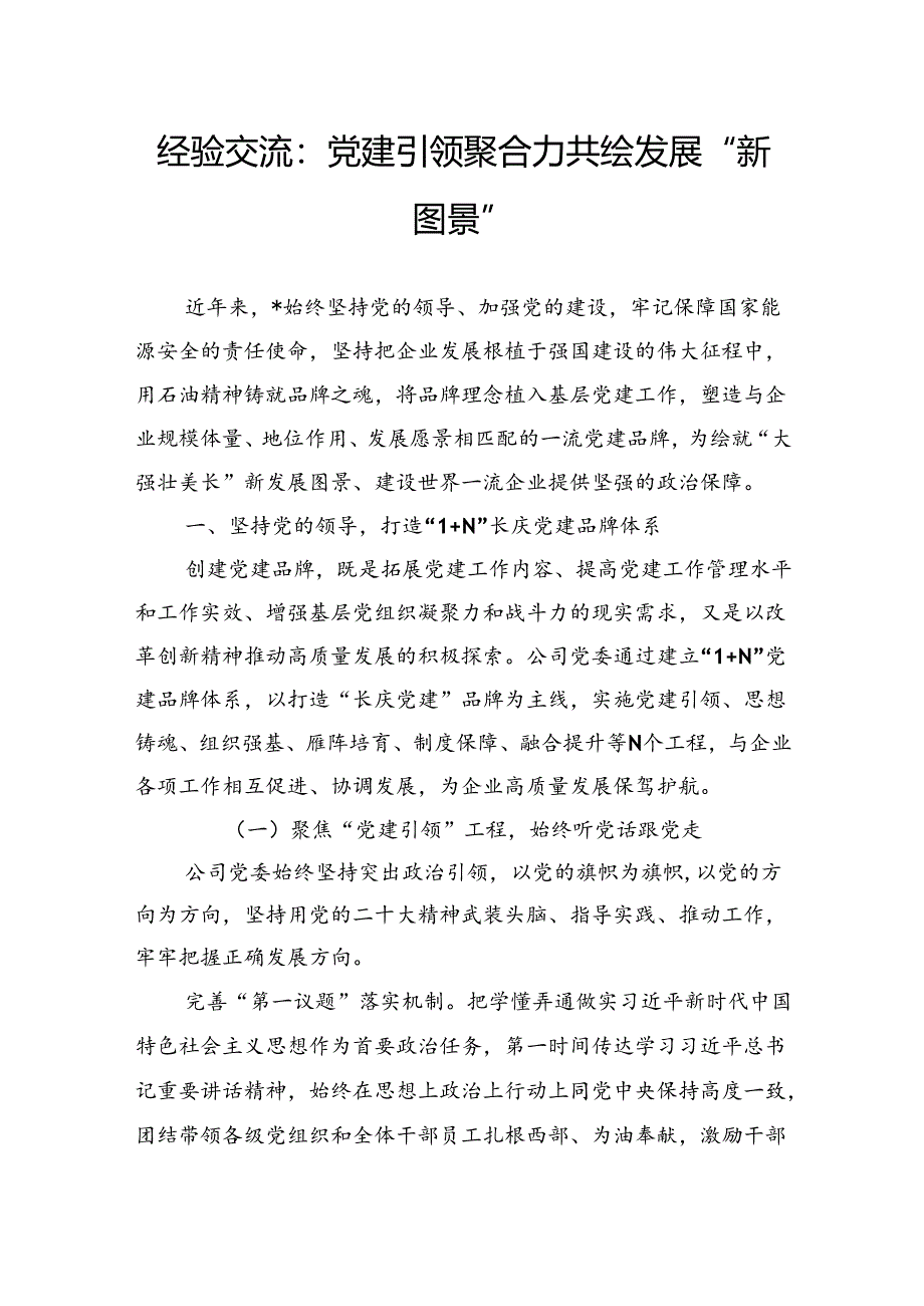 经验交流：党建引领聚合力共绘发展“新图景”.docx_第1页