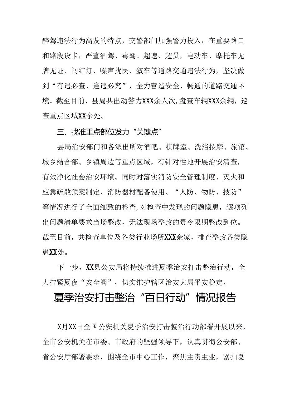 九篇2024年夏季治安打击整治专项行动工作总结.docx_第2页