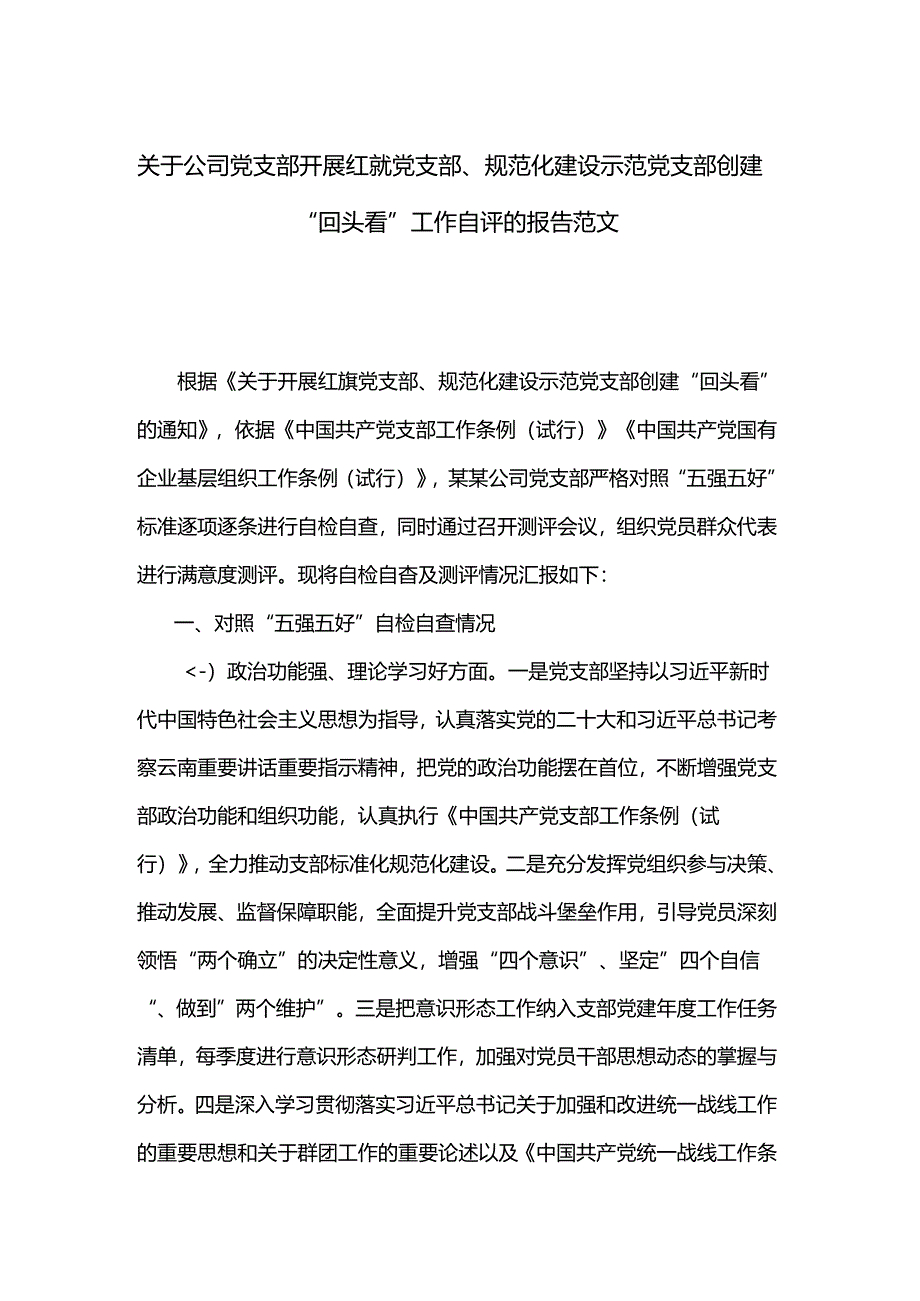 关于公司党支部开展红旗党支部、规范化建设示范党支部创建“回头看”工作自评的报告范文.docx_第1页