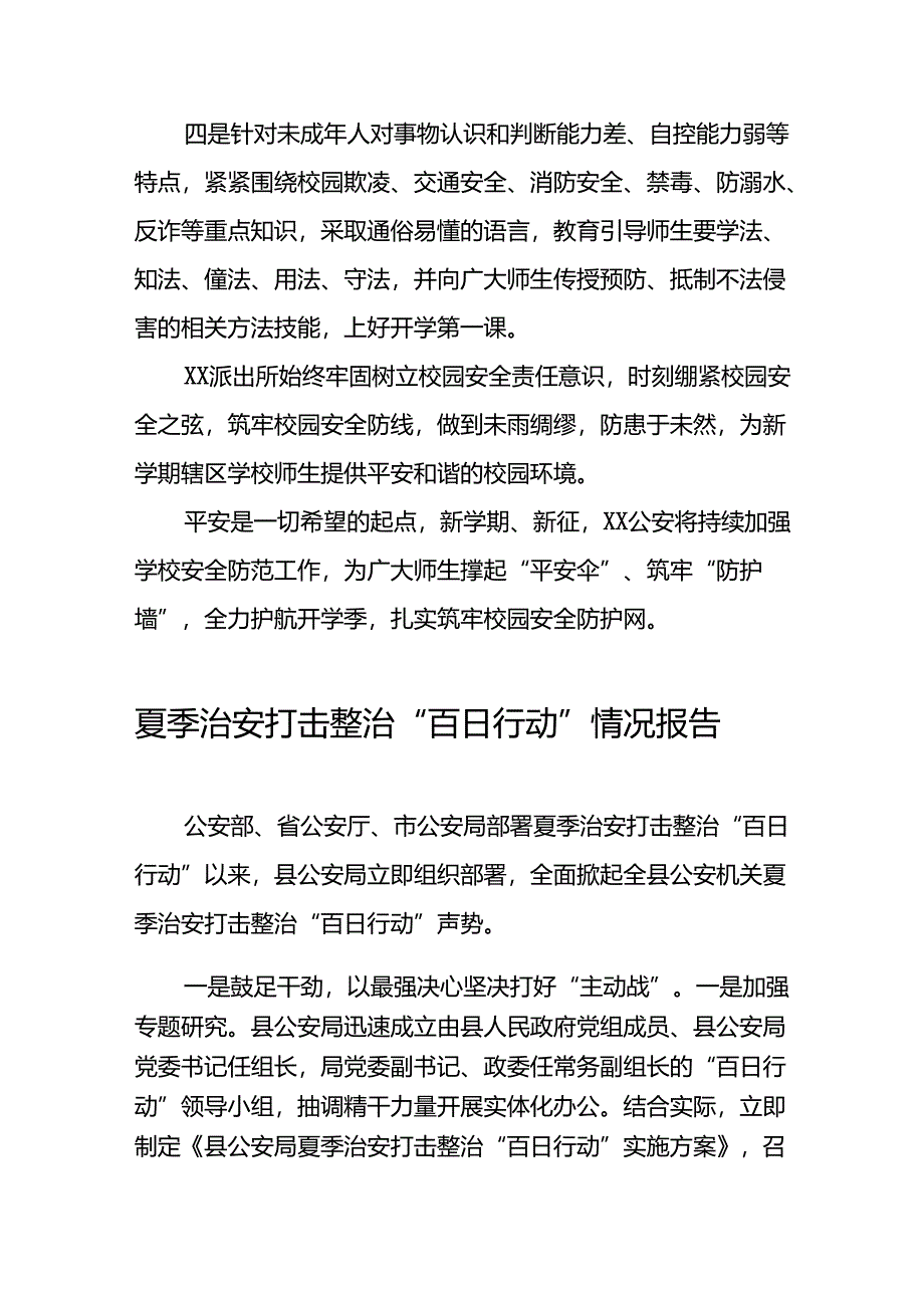 九篇2024年夏季治安打击整治“百日行动”总结汇报.docx_第2页