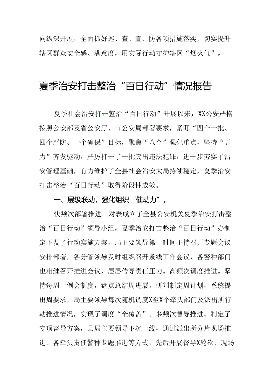 二十三篇2024年夏季治安打击整治行动工作总结.docx_第3页