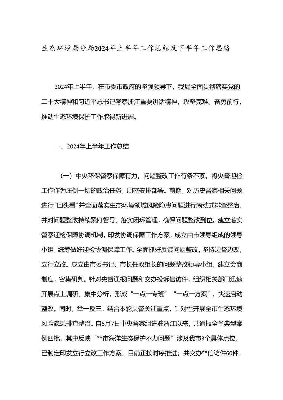 生态环境局分局2024年上半年工作总结及下半年工作思路.docx_第1页