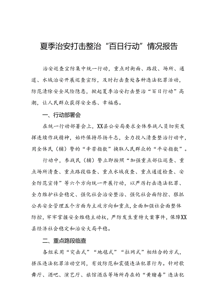 公安2024夏季治安打击整治“百日行动”总结报告20篇.docx_第1页