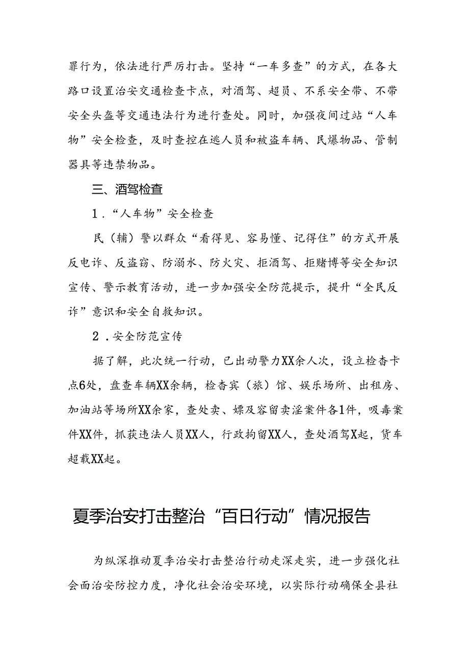 公安2024夏季治安打击整治“百日行动”总结报告20篇.docx_第2页