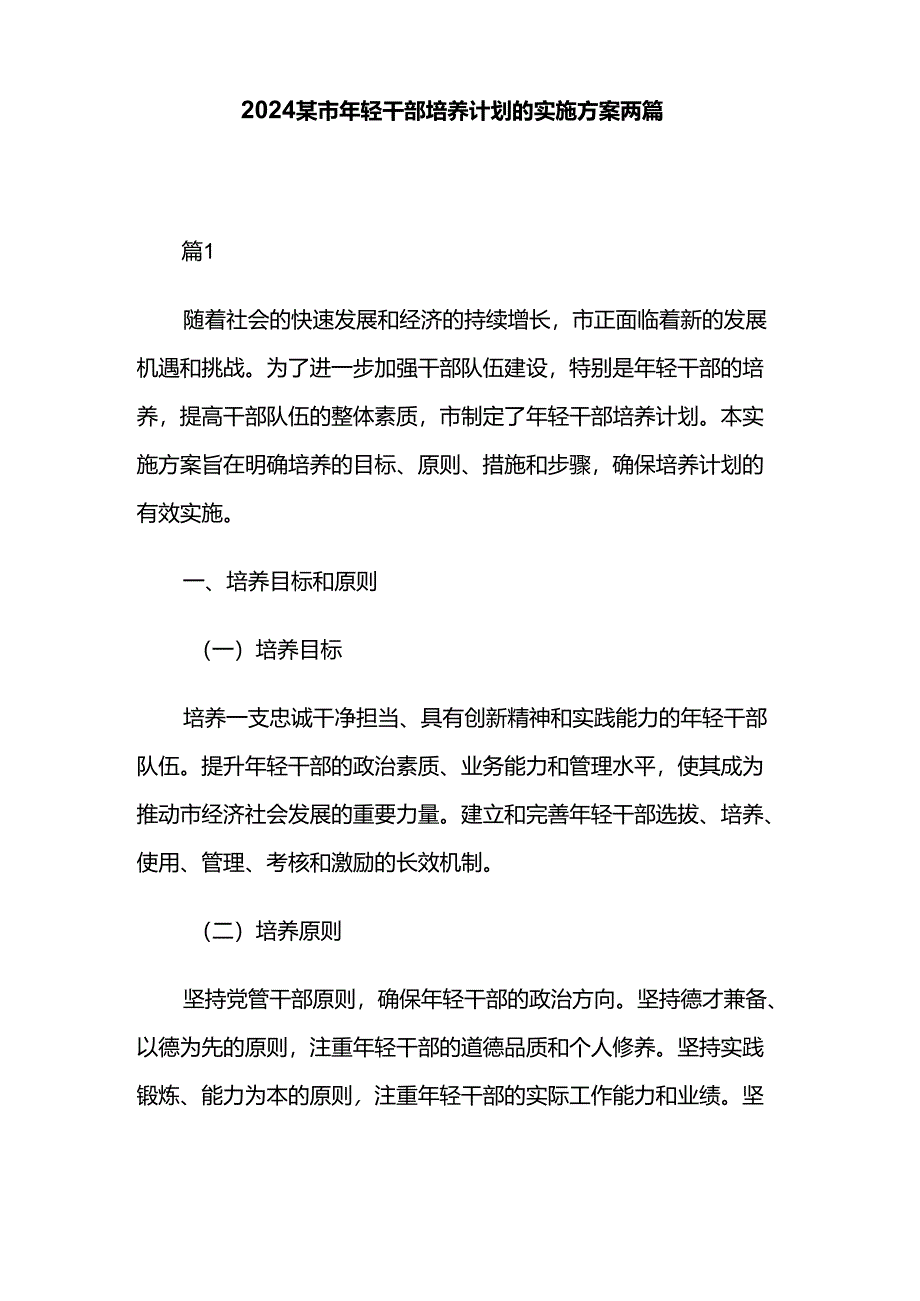 2024某市年轻干部培养计划的实施方案两篇.docx_第1页