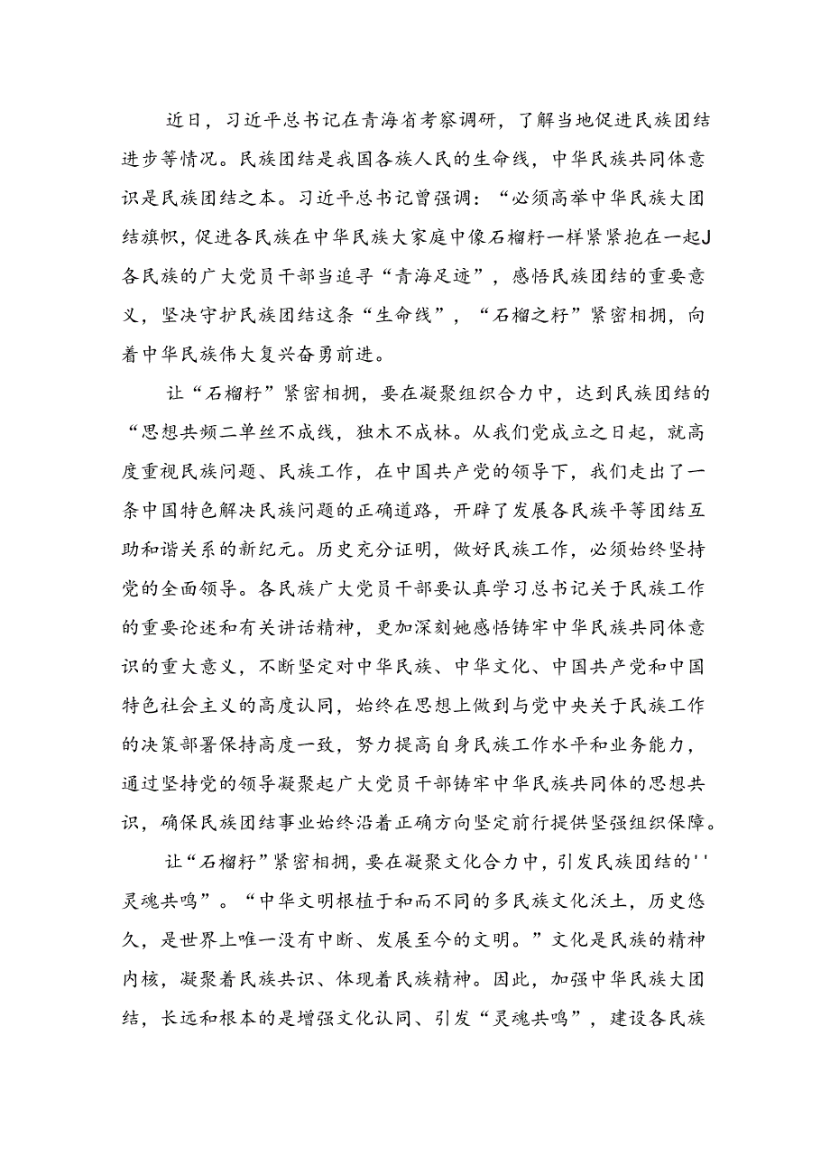 2024年学习青海省考察调研时重要讲话精神心得体会研讨发言材料（共四篇）.docx_第3页