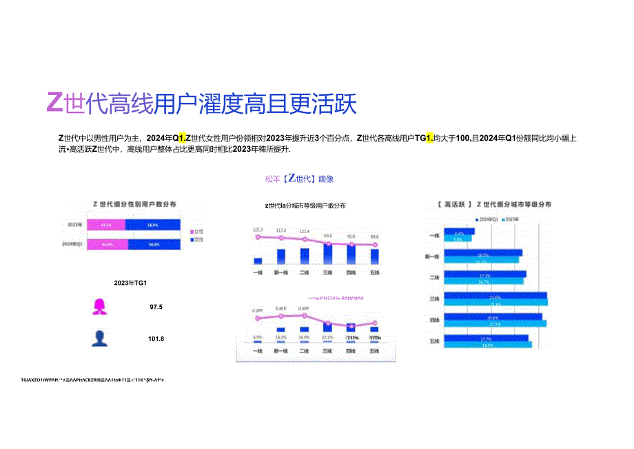 快手Z时代数据报告 2024.docx_第2页