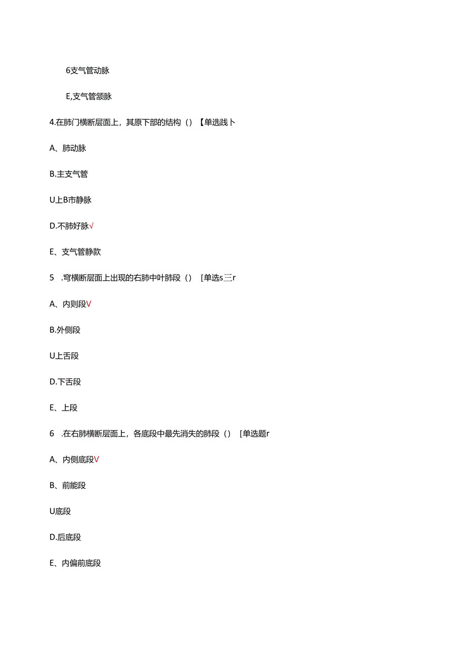 影像断层解剖专项考核试题及答案.docx_第2页