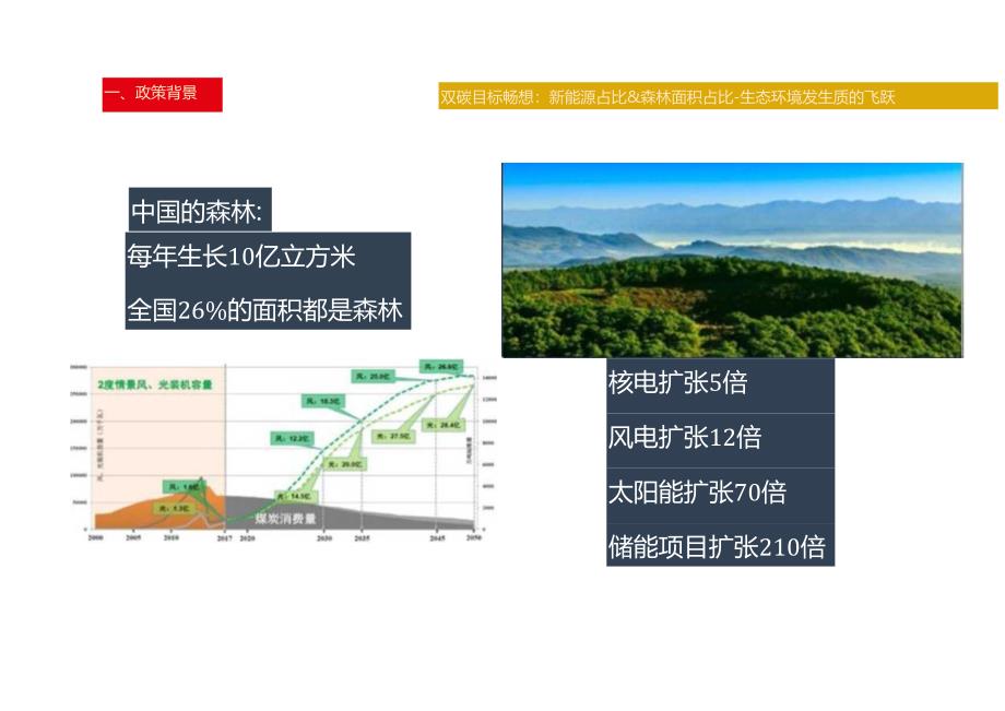 工商业储能开发要点及投融资分析 2024.docx_第2页