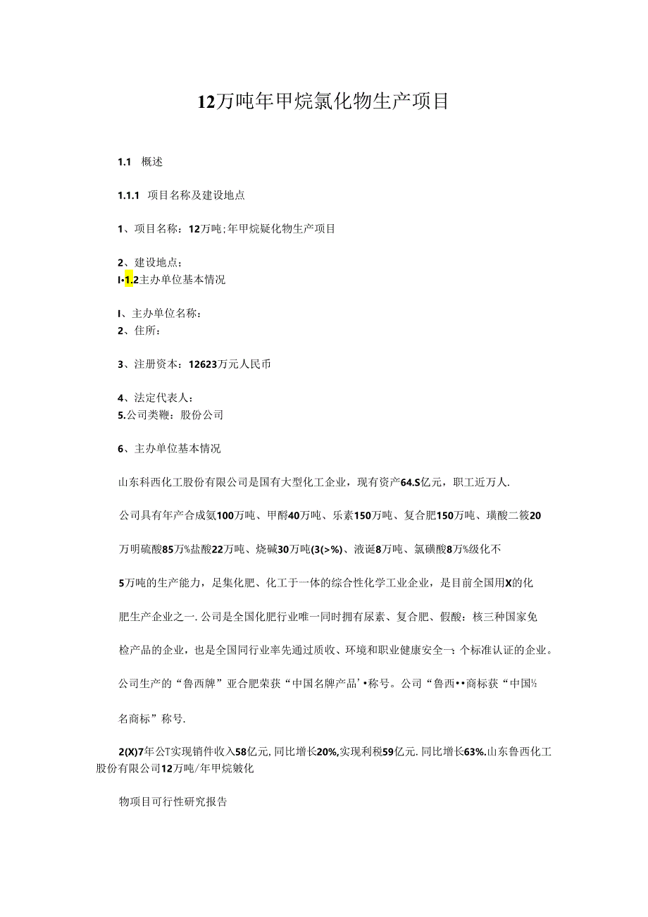 甲烷氯化物生产项目可行性研究报告1.docx_第1页