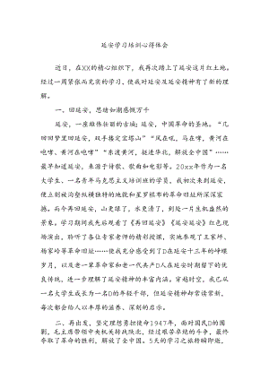 延安学习培训心得体会.docx