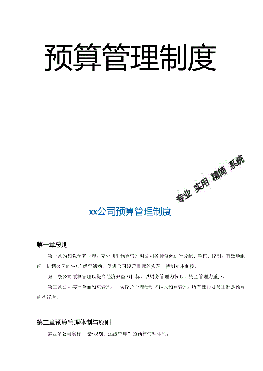 预算管理制度.docx_第2页