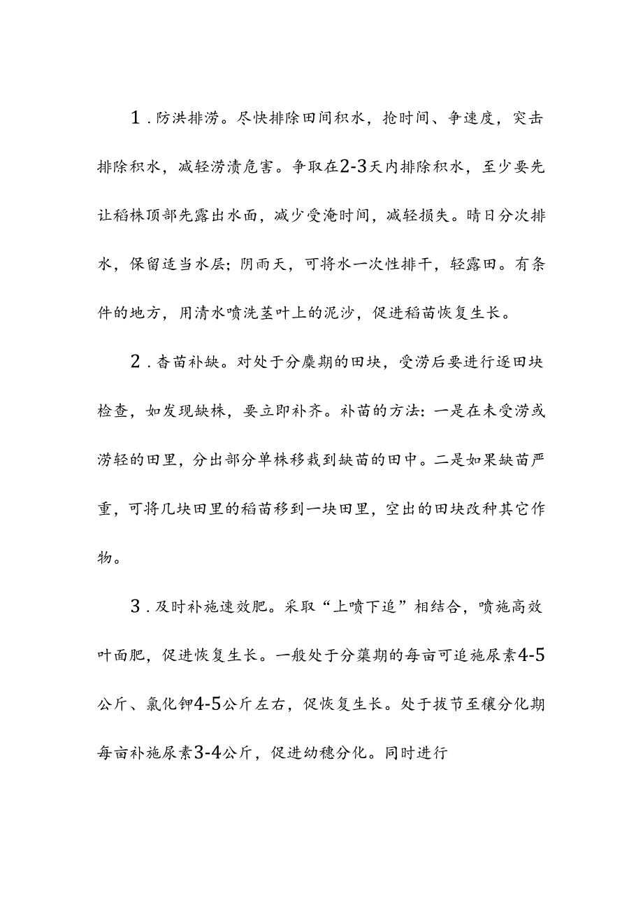 高标准农田水稻涝灾后田间管理.docx_第2页