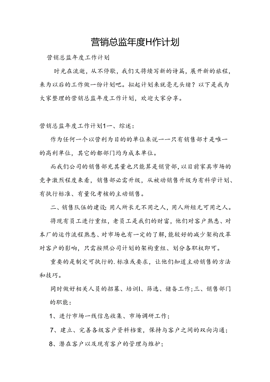 营销总监年度工作计划.docx_第1页