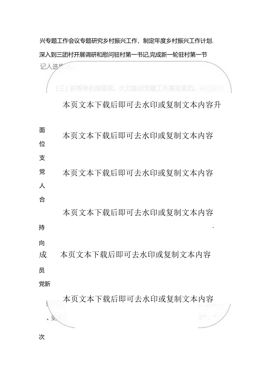 关于公司党建工作总结及下一步计划（精选）.docx_第2页